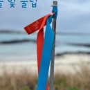 영농조합법인 무릉 이미지