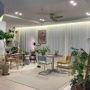 나만의 플랜테리어 이미지