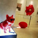 M.칼라스 이미지