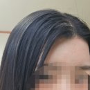 노세범헤어미스트 앞머리 있는 분들 여름필수템