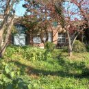 회천동초등학교 이미지