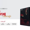 인큐텐라이프