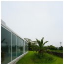 서담미가 이미지