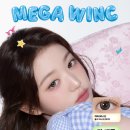 윙크렌즈스토어 네이버블로그