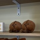 일산동구청 | 일산 답례품 추천 | 복호두 일산동구청점 호두과자 선물 포장 후기