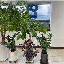 별내연세치과의원 이미지