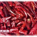 식탁위의텃밭 | 봄 텃밭 시작! 유기농재배로 감자·양배추·대파,상추류 심는 방법과 4월 작물 오이,가지,고추 계획