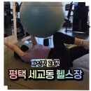 평택 세교동헬스장 파인핏2호점 손형우 트레이너님과 함께하는 우리 가족 PT 리얼 후기