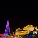 베네치아베이커리안정점 | 포천 애견동반 여행 야경명소 허브아일랜드 입장료 라벤더 아이스크림