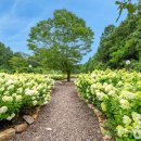 힐링파크 이미지