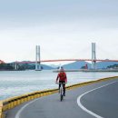 사천대교로 이미지