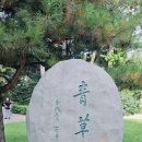 안중근의사 유묵-청초당 | 안중근의사의 유묵 &#39;청초당&#39;