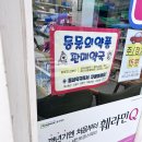 신비약국 이미지