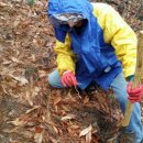 숲고을농장 이미지