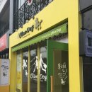 올리브독 이미지