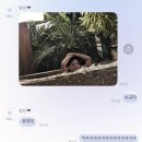 12월의 해운대 : 🪸호캉스 여행기록