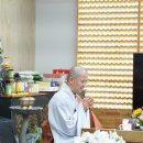 "환상을 버리고 지금 당장 해탈하세요!" 이미지