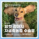 송 동물의료센터 이미지