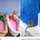 지중해의작은마을 이미지