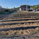 조은땅공인중개사사무소 이미지