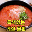 백년바다민박 | 울진 물회 맛집 홍게살물회에 반하고 온 후포리백년식당 후기