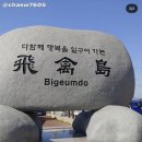 비금도·도초도 티스토리