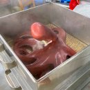 대신수산식당 이미지