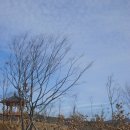 안의어린이집 이미지