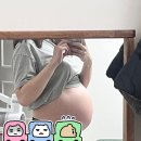 (주)휴시드 | [31주차]행복한 먹보의 삶, 이사/출산을 위한 자금 영끌, 아기 성장앨범 계약, 실손보험 청구 준비...