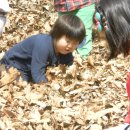 양지어린이집 이미지