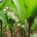 낭성산성 이미지