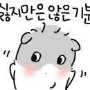 놀놀숯불닭갈비 - 부평구 열우물로49번길 28 | 놀놀숯불닭갈비