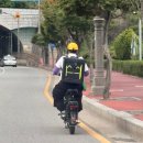 정선이가 헛개
