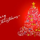 민들레세상 이미지