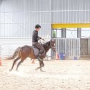 비슬 승마체험장 이미지