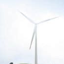 초기목장 이미지