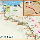 종합운동장 메타세콰이어길 이미지