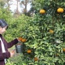 유민농장 이미지