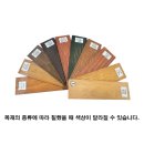 스테인20