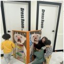 늘푸른 태권도장 이미지