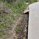 다보부동산중개사무소 이미지