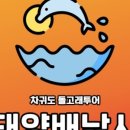 차귀도태양배낚시with돌고래