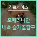 철원동물병원