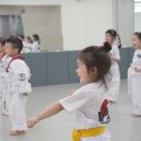 VTA 태권도장 이미지
