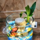 평내초등학교(병설) 이미지