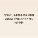 서원로 전북 전북특별자치도 전주시 네이버블로그