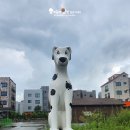 펫마트 홍성점 이미지