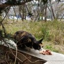 해인약국 이미지