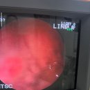 동물병원 All Pets 이미지