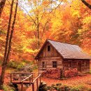 베토벤 - 비창 소나타 2악장 이미지